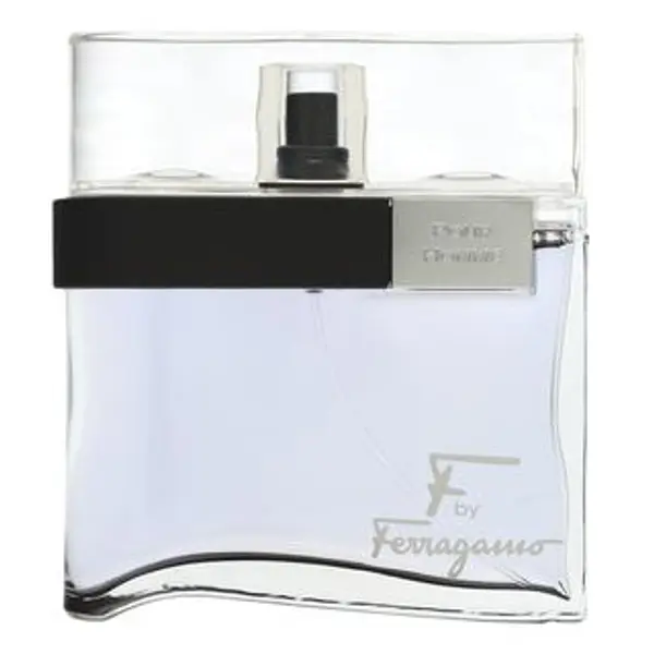 Salvatore Ferragamo Salvatore Ferragamo F by Ferragamo Pour Homme Black toaletna voda za muškarce 100 ml