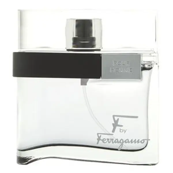 Salvatore Ferragamo Salvatore Ferragamo F by Ferragamo Pour Homme Black toaletna voda za muškarce 50 ml