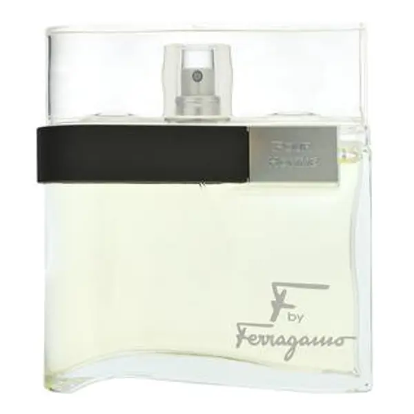 Salvatore Ferragamo Salvatore Ferragamo F by Ferragamo Pour Homme toaletna voda za muškarce 100 ml