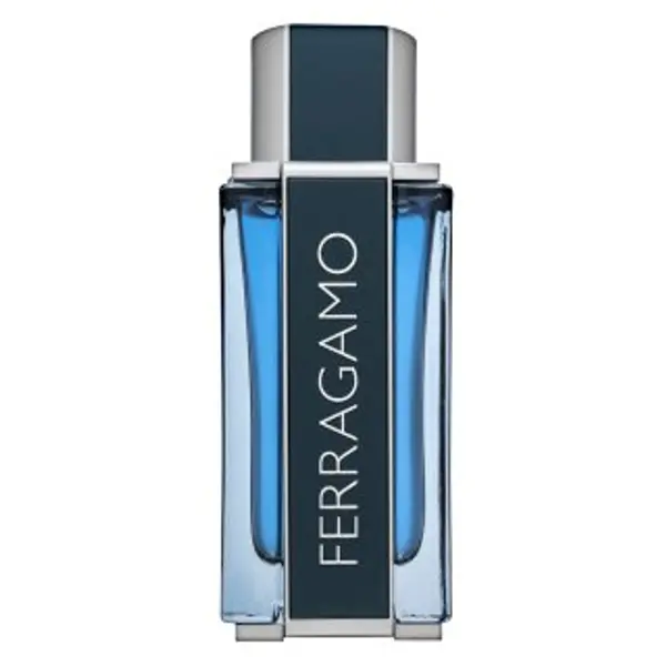 Salvatore Ferragamo Salvatore Ferragamo Intense Leather parfémovaná voda za muškarce 100 ml