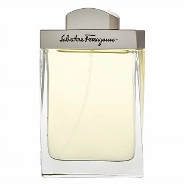 Salvatore Ferragamo Salvatore Ferragamo Pour Homme toaletna voda za muškarce 100 ml
