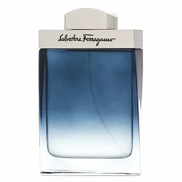 Salvatore Ferragamo Salvatore Ferragamo Subtil Pour Homme toaletna voda za muškarce 100 ml