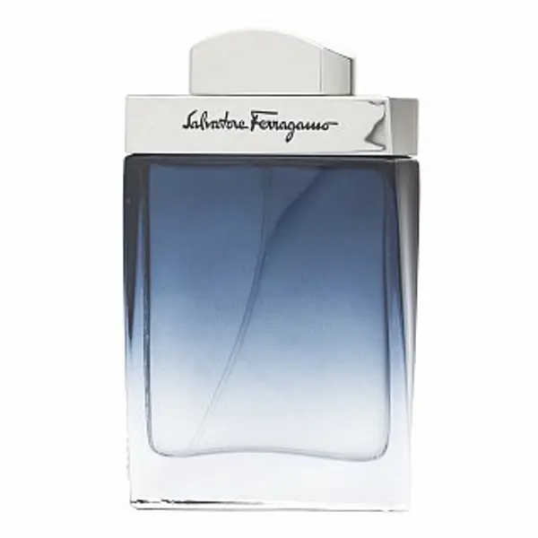 Salvatore Ferragamo Salvatore Ferragamo Subtil Pour Homme toaletna voda za muškarce 50 ml