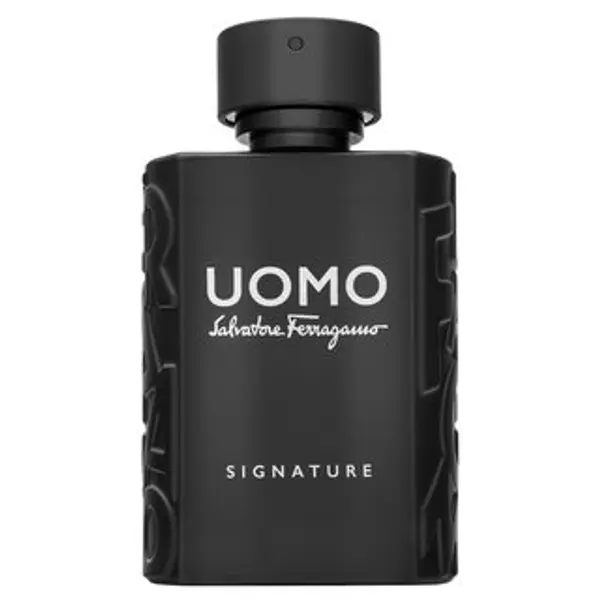 Salvatore Ferragamo Salvatore Ferragamo Uomo Signature parfémovaná voda za muškarce 100 ml