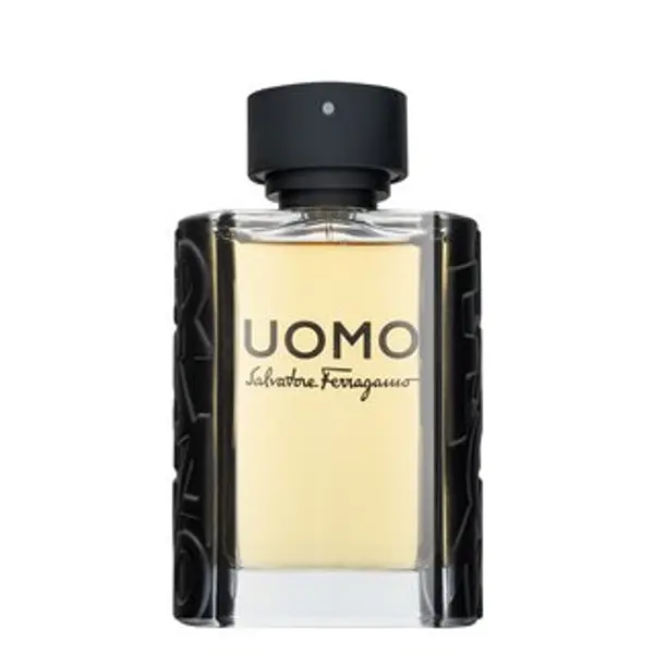 Salvatore Ferragamo Salvatore Ferragamo Uomo toaletna voda za muškarce 100 ml