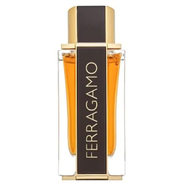 Salvatore Ferragamo Salvatore Ferragamo Spicy Leather Special Edition parfémovaná voda za muškarce 100 ml