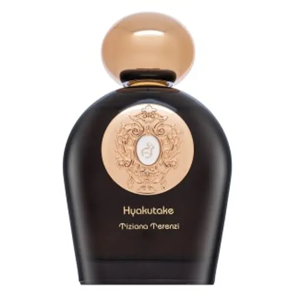 Tiziana Terenzi Tiziana Terenzi Hyakutake čistý parfém unisex 100 ml