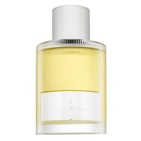 Tom Ford Tom Ford Signature Beau de Jour parfémovaná voda za muškarce 100 ml