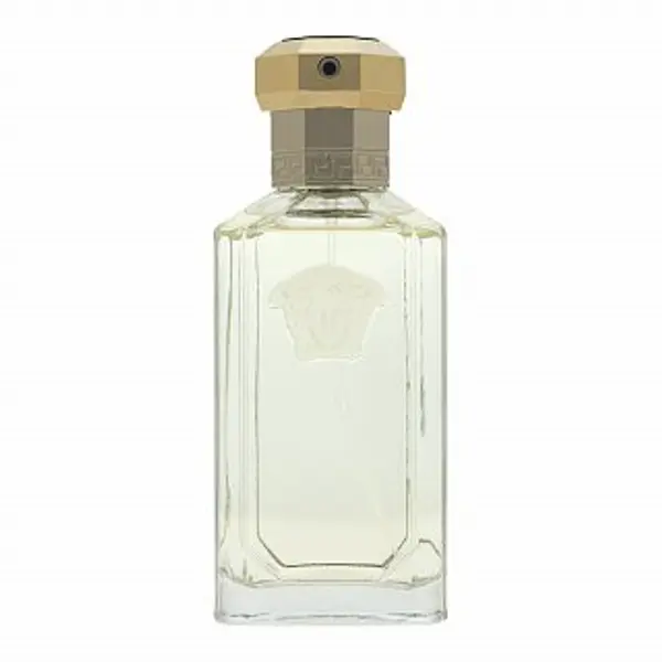 Versace Versace Dreamer toaletna voda za muškarce 100 ml