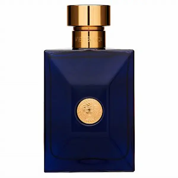 Versace Versace Dylan Blue toaletna voda za muškarce 100 ml