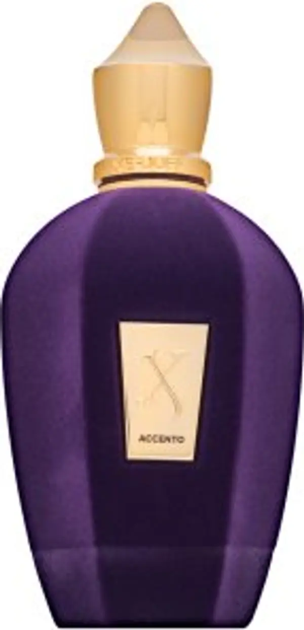 Xerjoff Xerjoff Accento parfémovaná voda unisex 100 ml