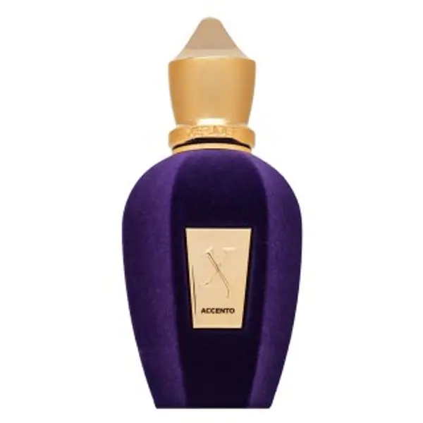 Xerjoff Xerjoff Accento parfemska voda unisex 50 ml