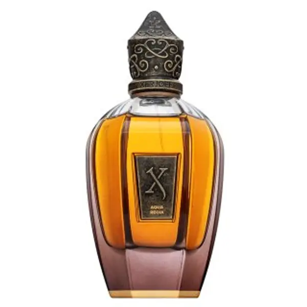 Xerjoff Xerjoff Aqua Regia čistý parfém unisex 100 ml