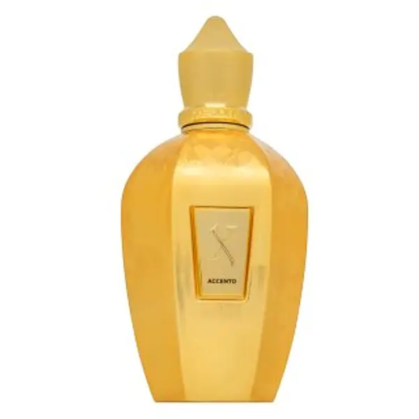 Xerjoff Xerjoff Accento Overdose parfemska voda unisex 100 ml