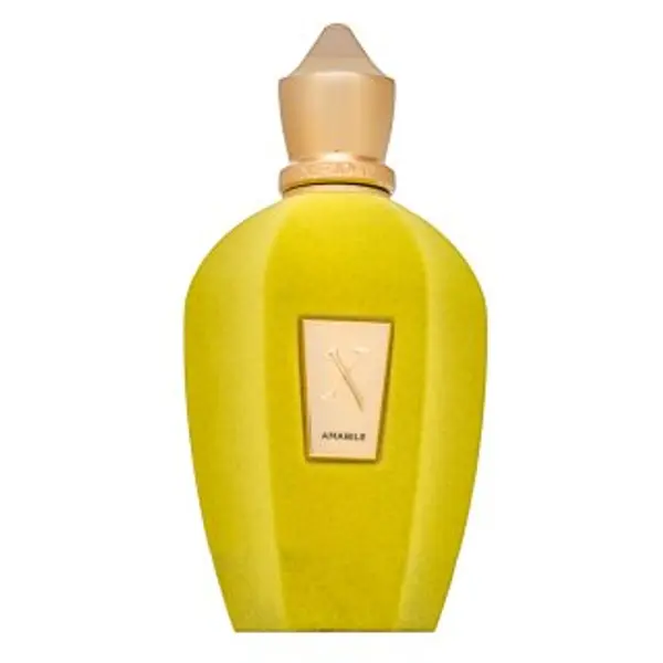 Xerjoff Xerjoff Amabile parfémovaná voda unisex 100 ml