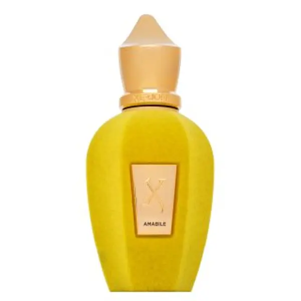 Xerjoff Xerjoff Amabile parfemska voda unisex 50 ml