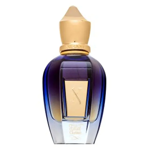 Xerjoff Xerjoff Fatal Charme parfemska voda unisex 50 ml