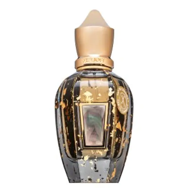 Xerjoff Xerjoff Homme Anniversary čistý parfém unisex 50 ml
