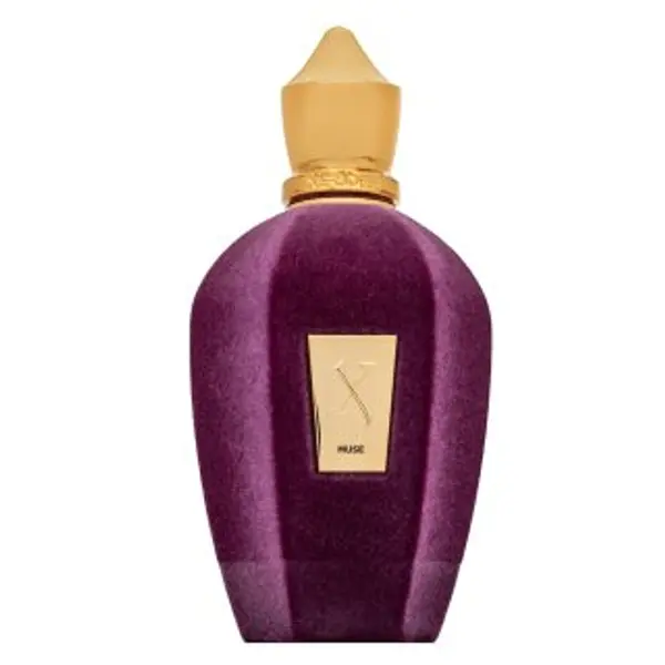 Xerjoff Xerjoff Muse parfemska voda unisex 100 ml