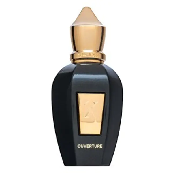 Xerjoff Xerjoff Ouverture parfemska voda unisex 50 ml