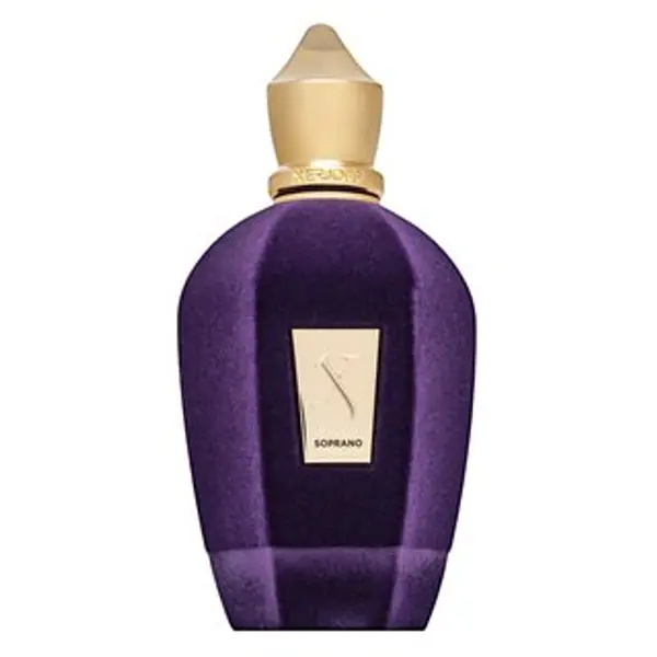 Xerjoff Xerjoff Soprano parfémovaná voda unisex 100 ml