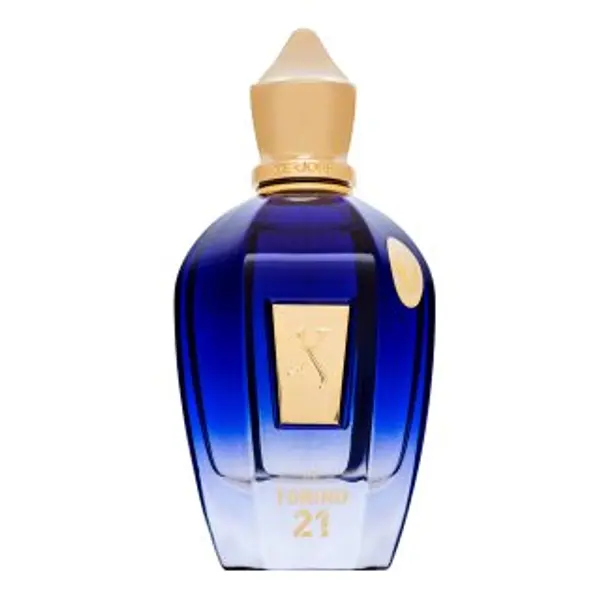 Xerjoff Xerjoff Torino21 parfemska voda unisex 100 ml