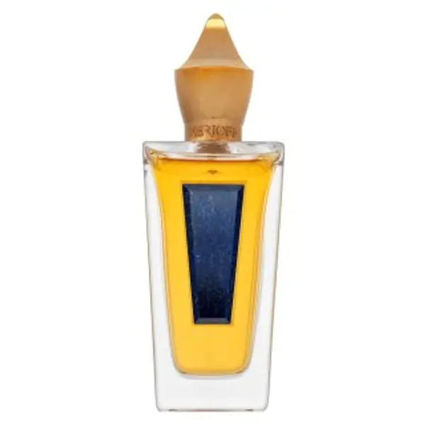 Xerjoff Xerjoff XJ 17/17 XXY parfemska voda unisex 100 ml