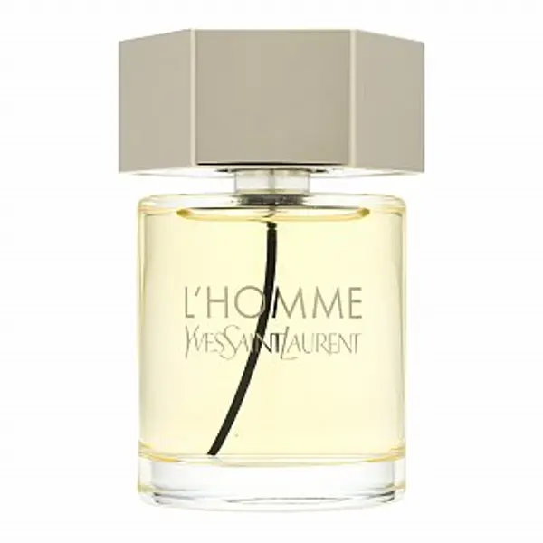 Yves Saint Laurent Yves Saint Laurent L'Homme toaletna voda za muškarce 100 ml