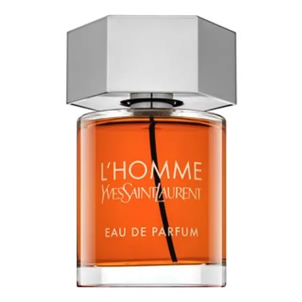 Yves Saint Laurent Yves Saint Laurent L'Homme parfémovaná voda za muškarce 100 ml