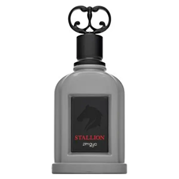 Zimaya Zimaya Stallion parfemska voda za muškarce 100 ml