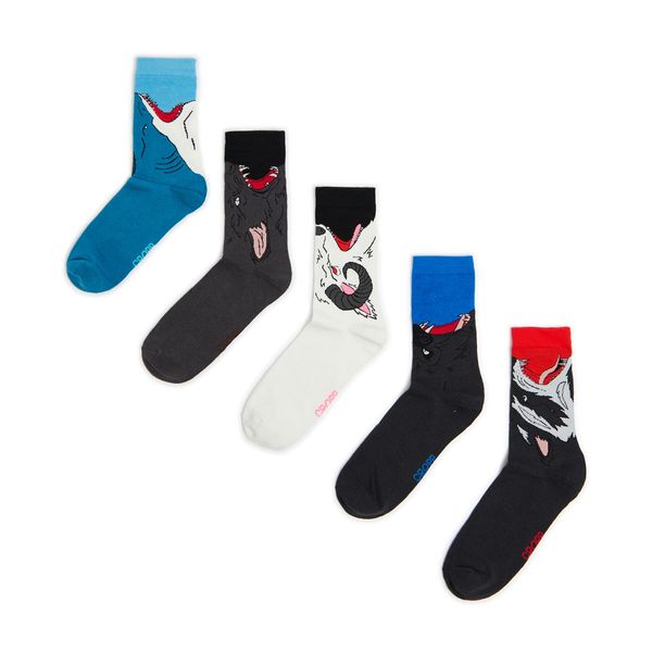 Cropp Cropp - 5-paket čarapa - šaren