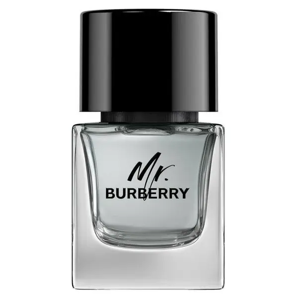 Burberry Burberry Mr. Eau De Toilette Toaletna Voda 50 ml