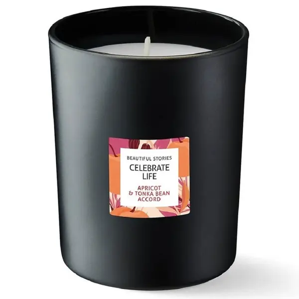 Douglas Collection Douglas Collection Beautiful Stories Celebrate Life Candle Mirisna Svijeća 180 g