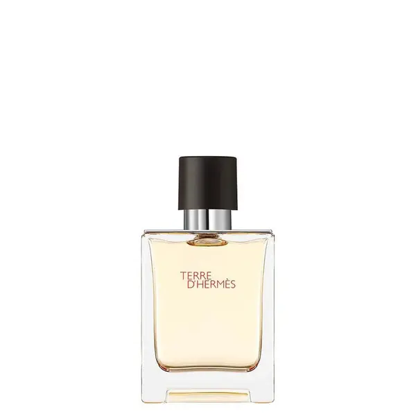 Hermès Hermès Terre D’Hermès D'Hermès Eau De Toilette Toaletna Voda 50 ml