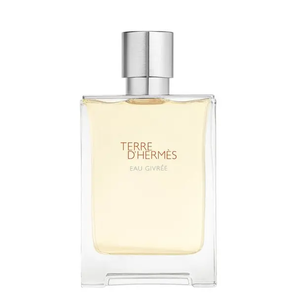 Hermès Hermès Terre D'Hermès Eau Givrée De Parfum Refillable Parfemska Voda 100 ml