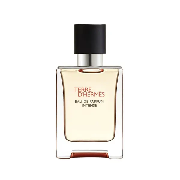 Hermès Hermès Terre D'Hermes Intense Eau De Parfum Parfemska Voda 50 ml