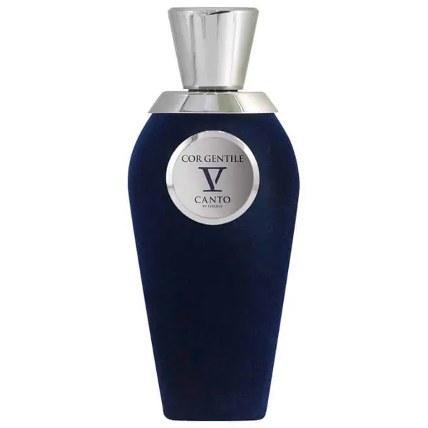 V Canto V Canto Blu Cor Gentile Extrait De Parfum Parfemska Voda 100 ml