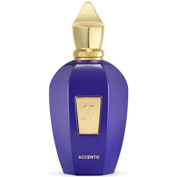 XERJOFF XERJOFF Vibe Accento Eau De Parfum Parfemska Voda 100 ml