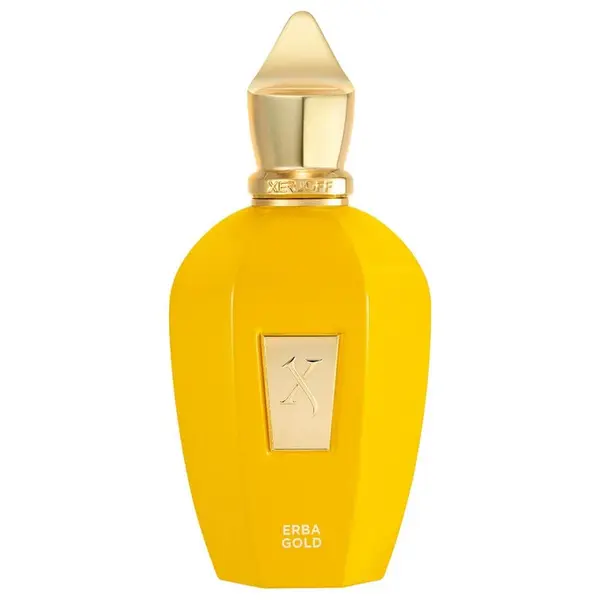 XERJOFF XERJOFF Vibe Erba Gold Eau De Parfum Parfemska Voda 100 ml