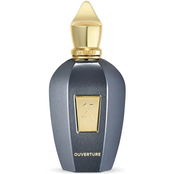 XERJOFF XERJOFF Vibe Ouverture Eau De Parfum Parfemska Voda 50 ml