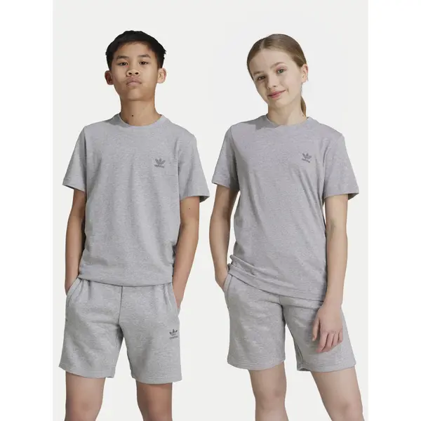 Adidas adidas T-shirt IX5267 Siva Regular Fit