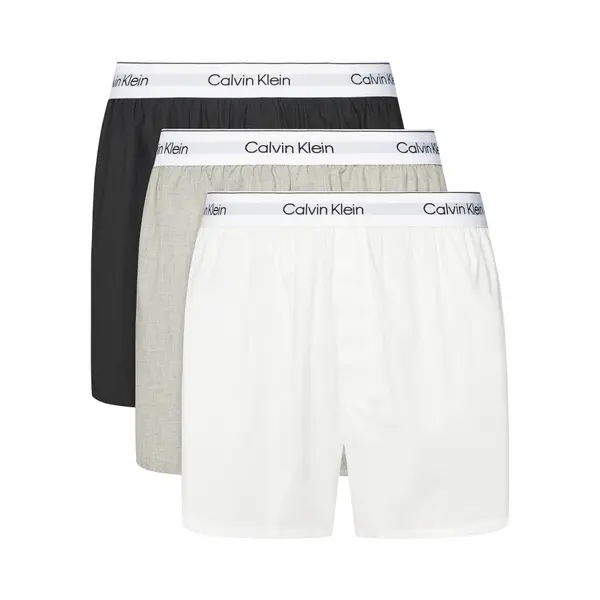 Calvin Klein Underwear Calvin Klein Underwear Set bokserica﻿ LV00NB4267 Šarena