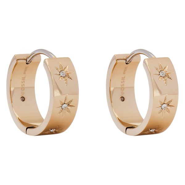 Fossil Naušnice Fossil JF03870710 Zlatna