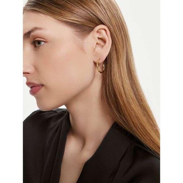 Skagen Naušnice Skagen SKJ1722710 Gold