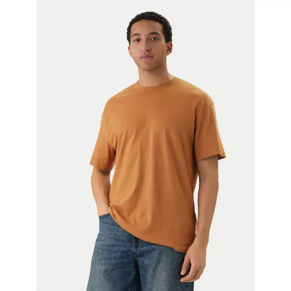 Quiksilver Quiksilver T-shirt Salt Water EQYZT08204 Smeđa Regular Fit