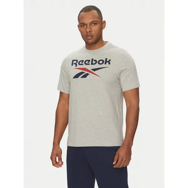 Reebok Reebok T-shirt 100217137 Siva Regular Fit