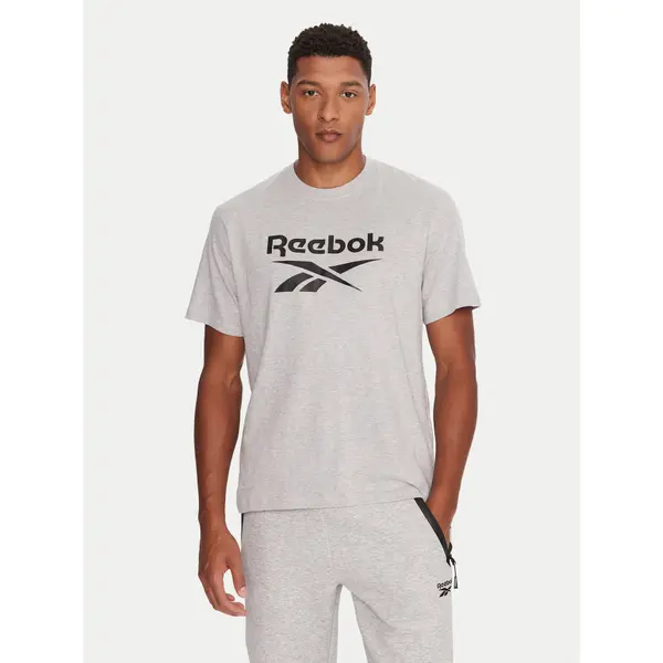 Reebok Reebok T-shirt RK25141CCM Siva Regular Fit