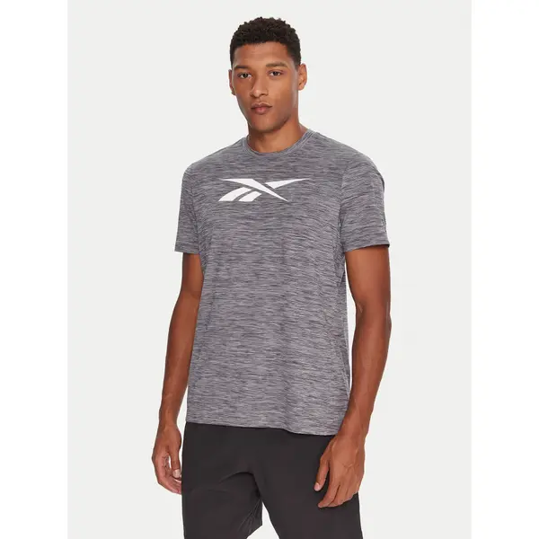 Reebok Reebok T-shirt Vector Standard RK25179CCM Siva Regular Fit