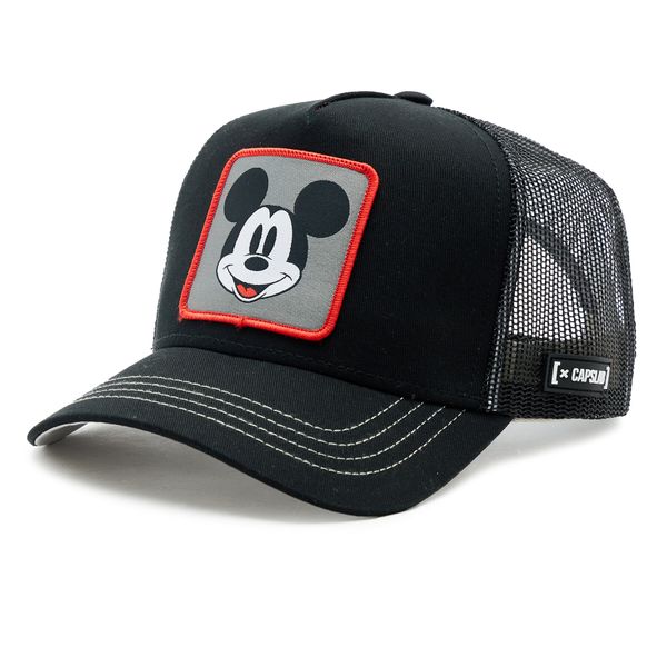 Capslab Šilterica Capslab CL/DIS4/1/CAS Šarena