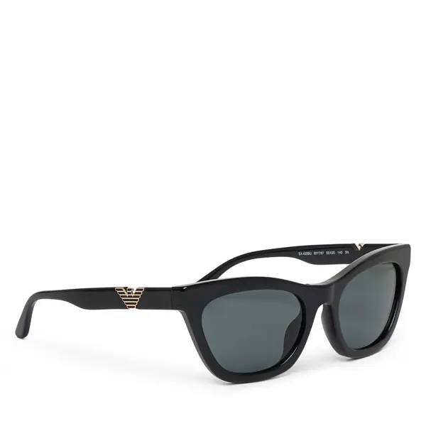Emporio Armani Sunčane naočale Emporio Armani 0EA4259U 501787 Crna